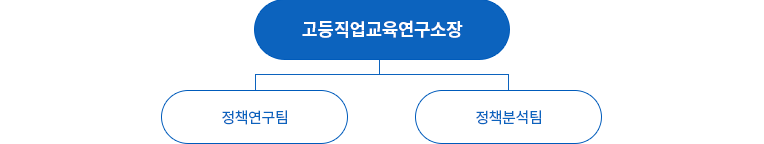고등직업교육연구소장, 정책연구팀, 정책분석팀